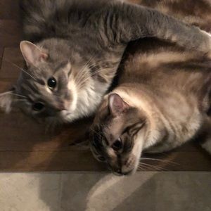 Meet your Posher, Tricia